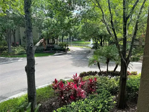 805 Normandy Trace Road Tampa FL 33602