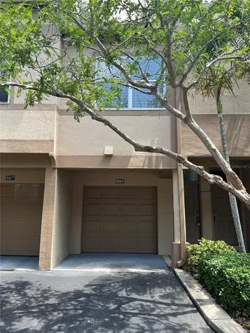 805 Normandy Trace Road Tampa FL 33602