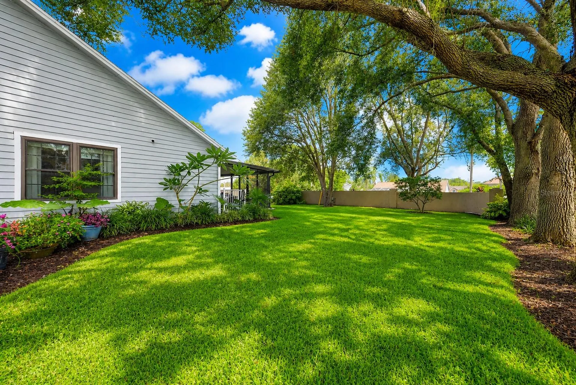 2728 Bentley Drive Palm Harbor FL 34684