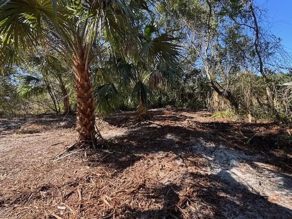 Azalea Avenue Paisley FL 32767