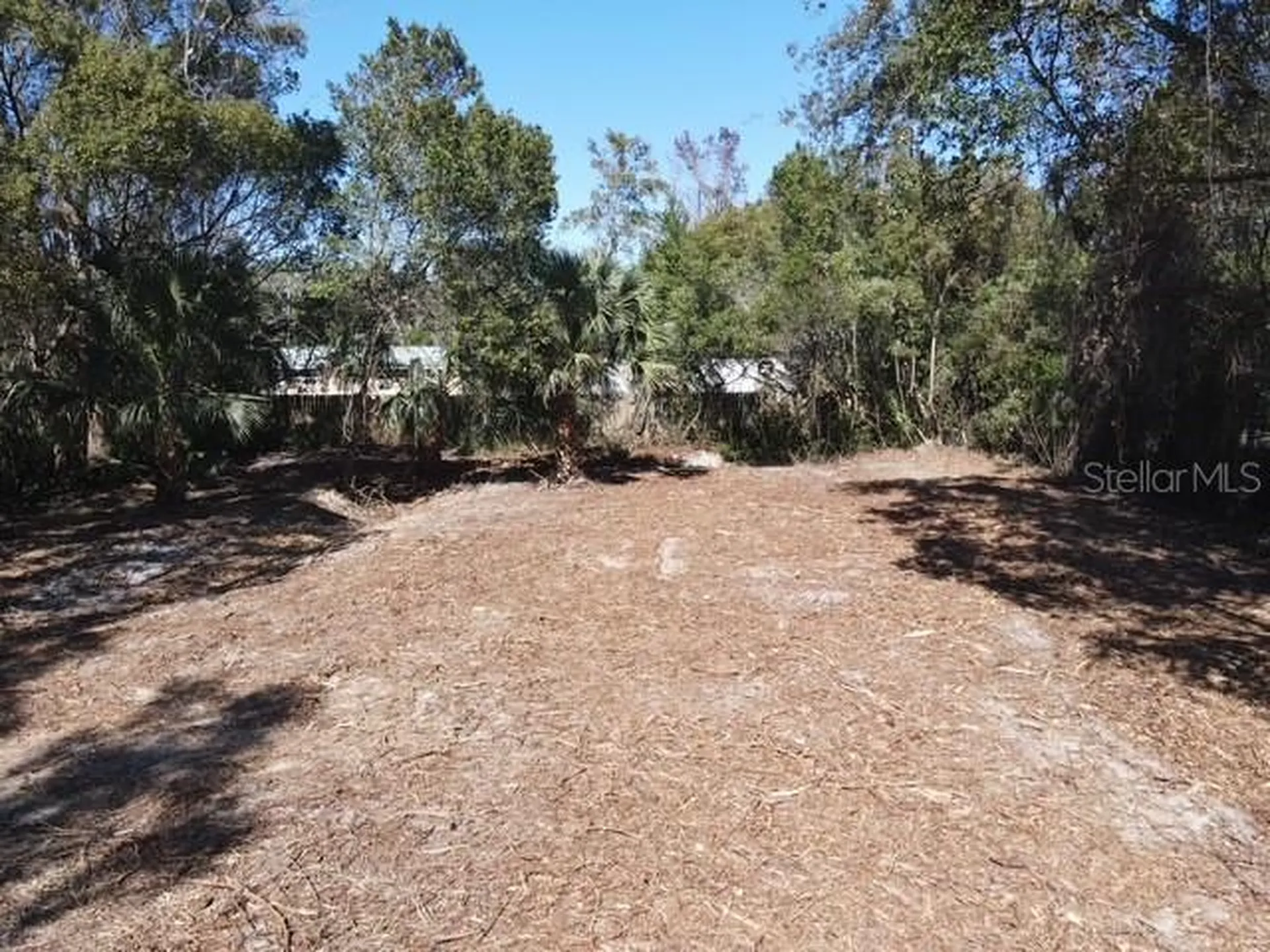 Azalea Avenue Paisley FL 32767