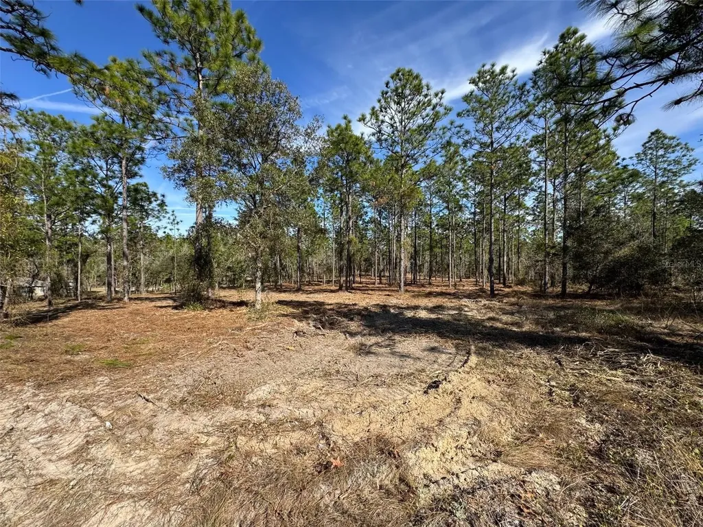 SW Obee Ridge Road Dunnellon FL 34431