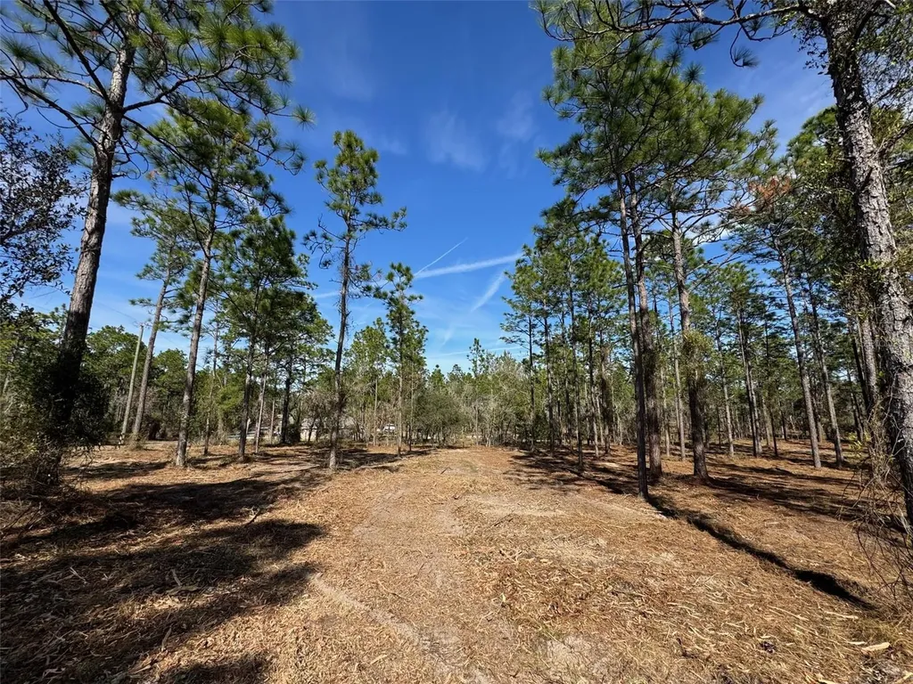 SW Obee Ridge Road Dunnellon FL 34431
