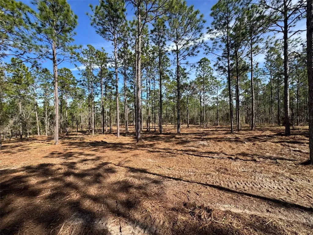 SW Obee Ridge Road Dunnellon FL 34431