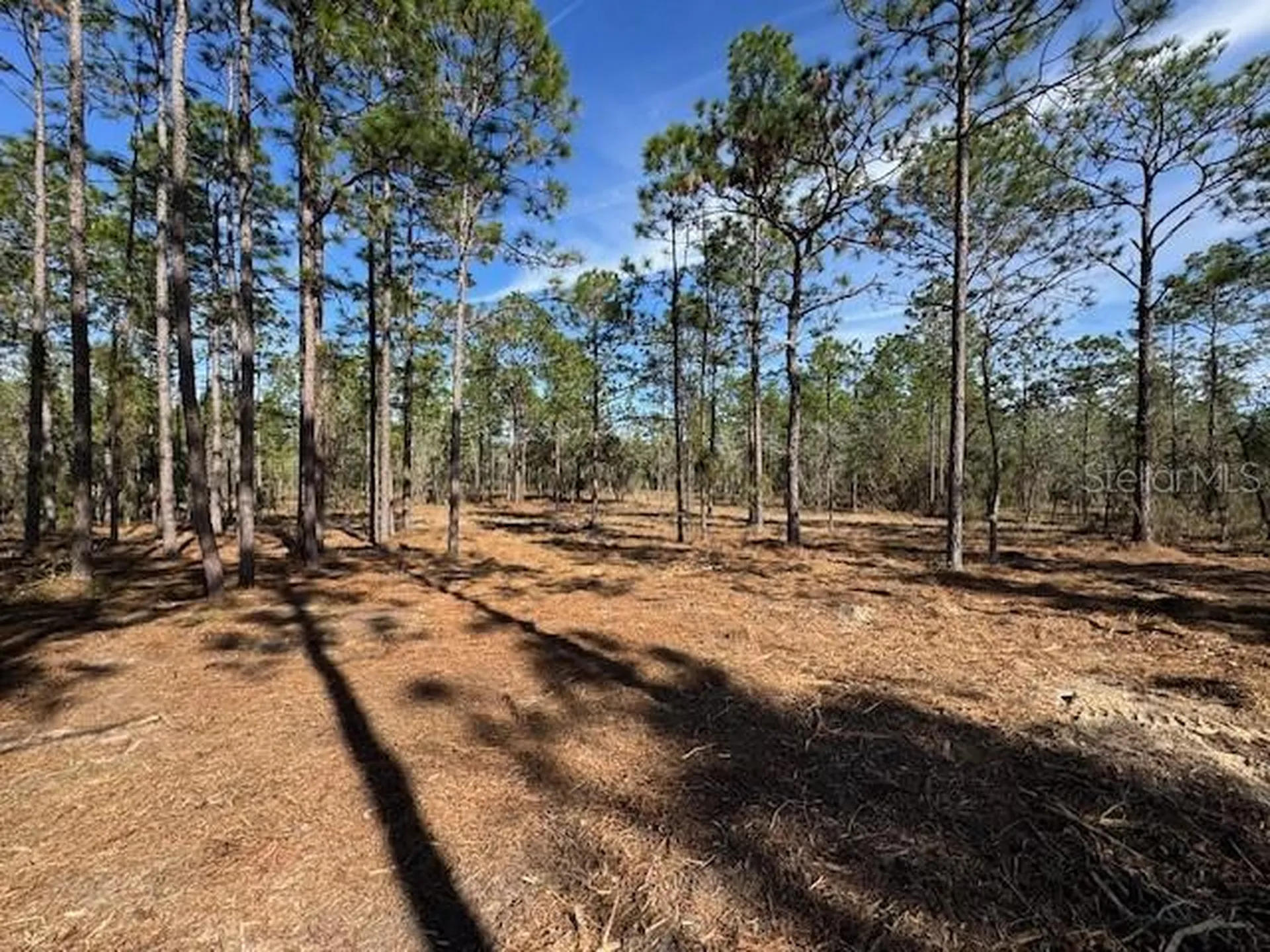 SW Obee Ridge Road Dunnellon FL 34431