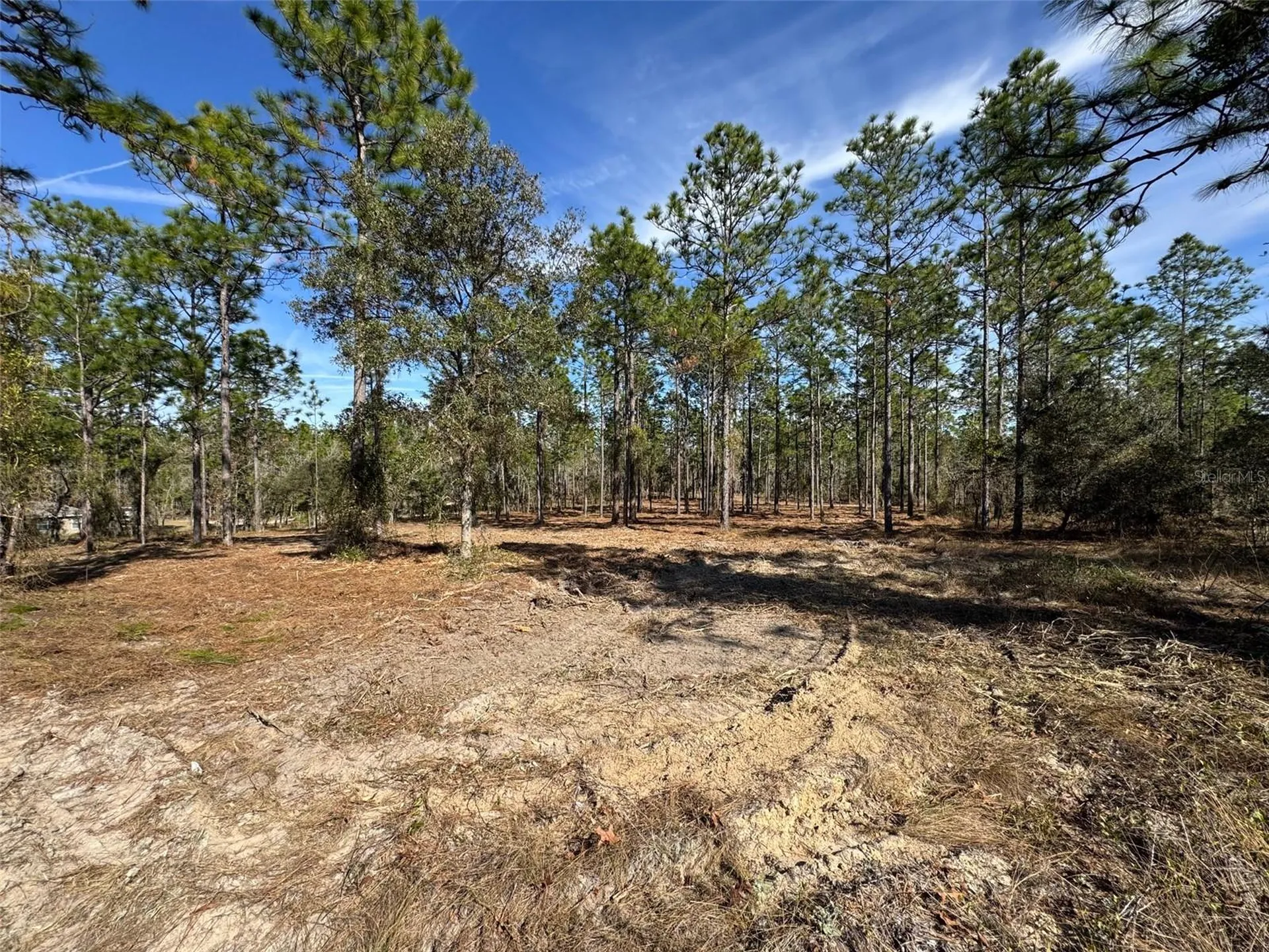 SW Obee Ridge Road Dunnellon FL 34431