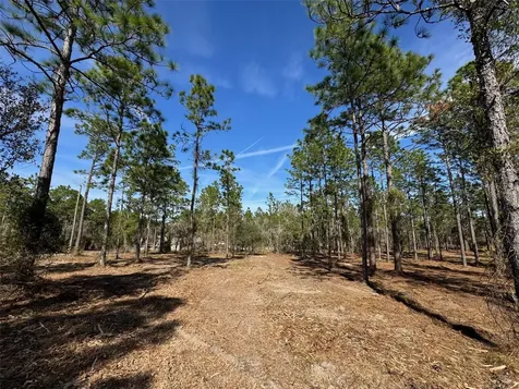 SW Obee Ridge Road Dunnellon FL 34431