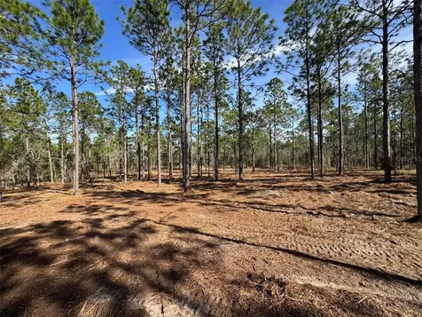 SW Obee Ridge Road Dunnellon FL 34431