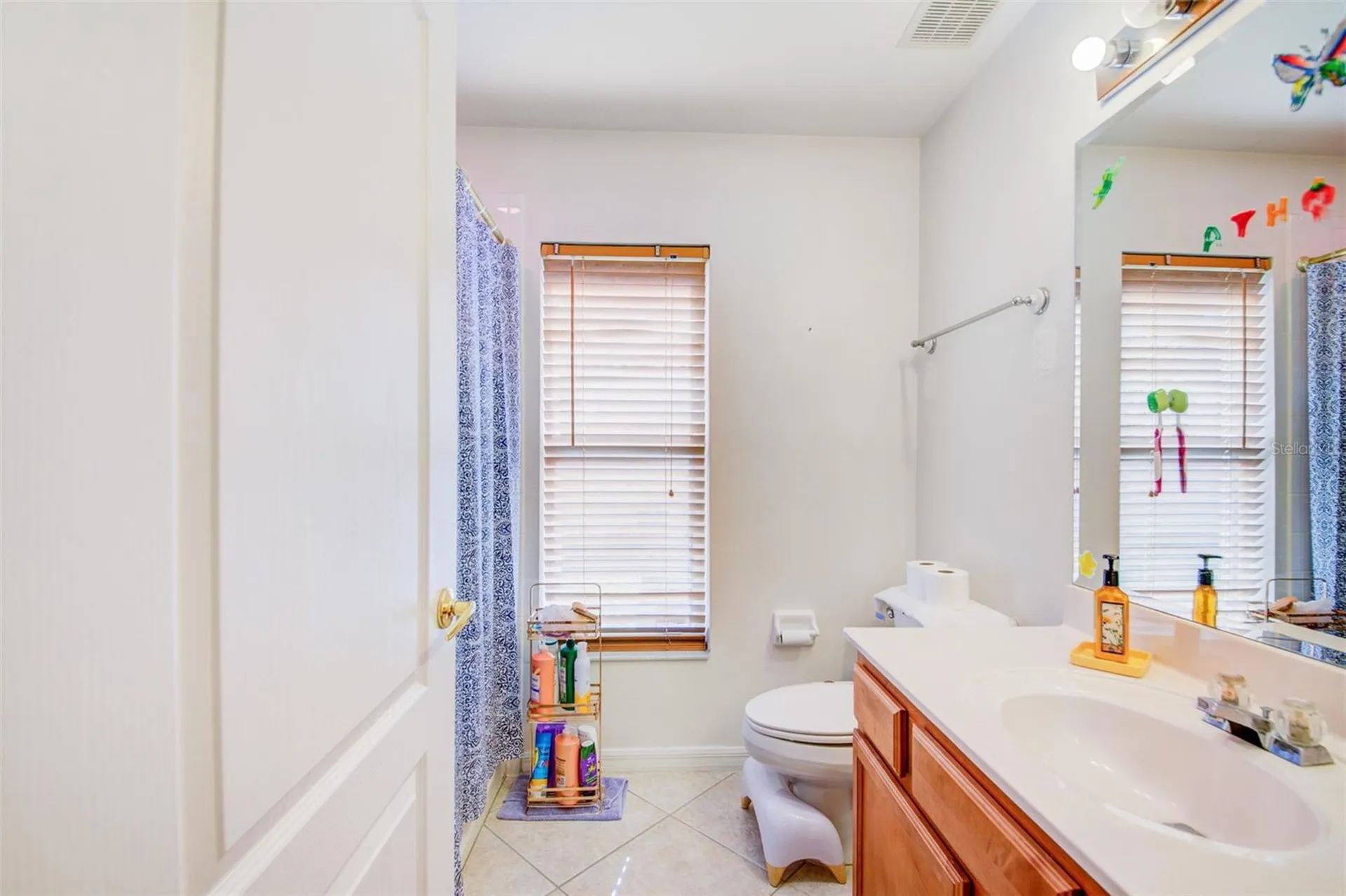 306 Carriage Oak Place Seffner FL 33584