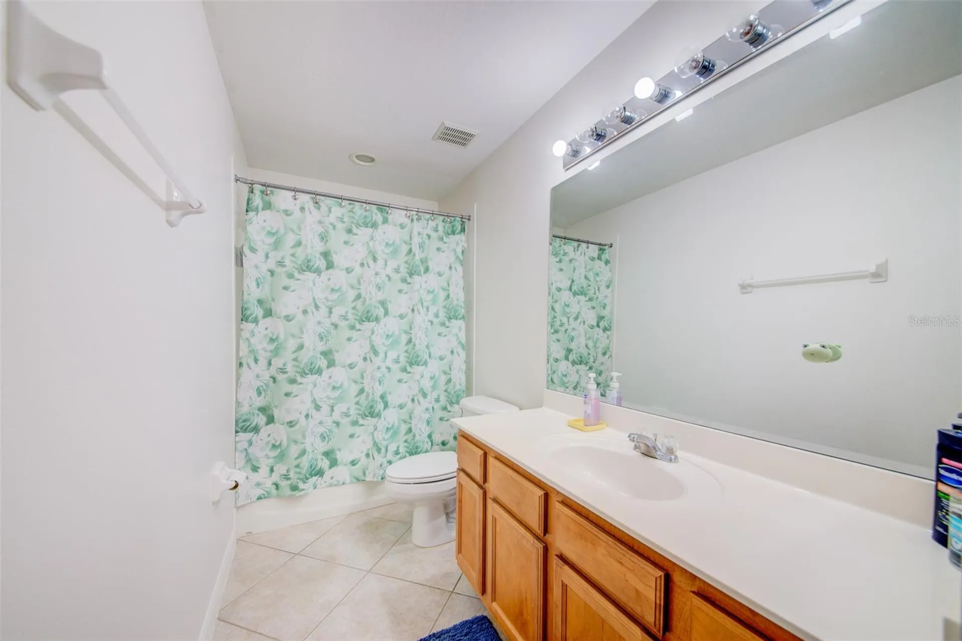 306 Carriage Oak Place Seffner FL 33584