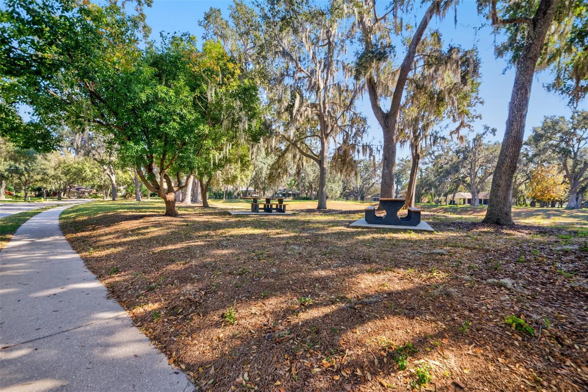 306 Carriage Oak Place Seffner FL 33584