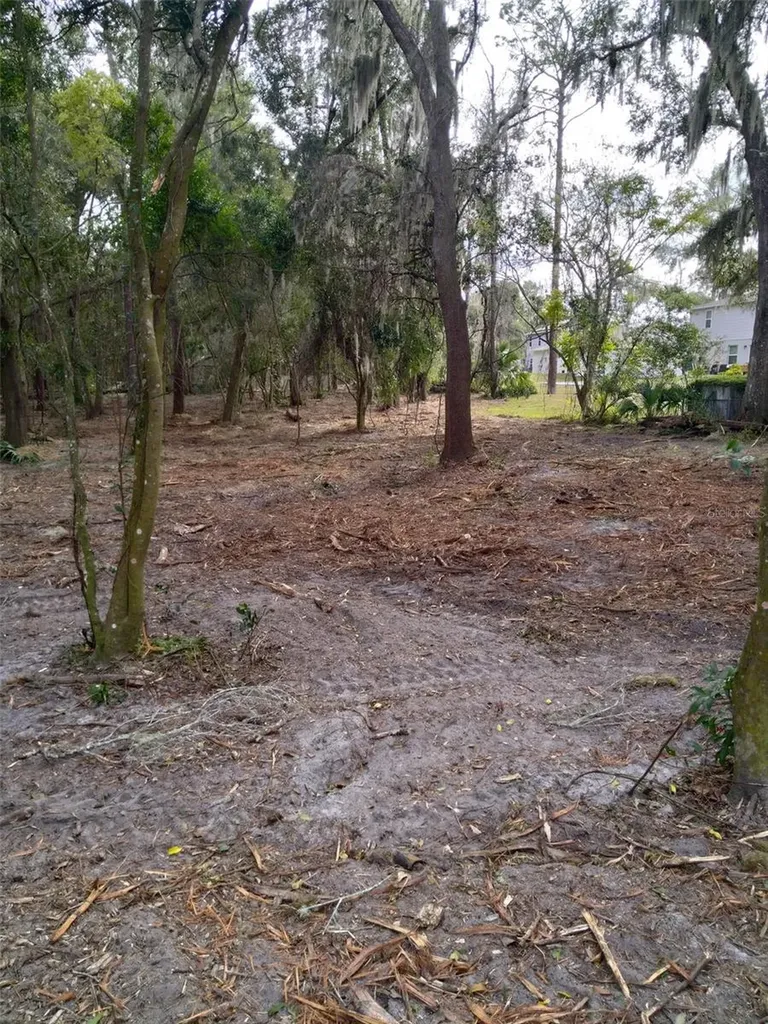 2ND Street Deland FL 32720