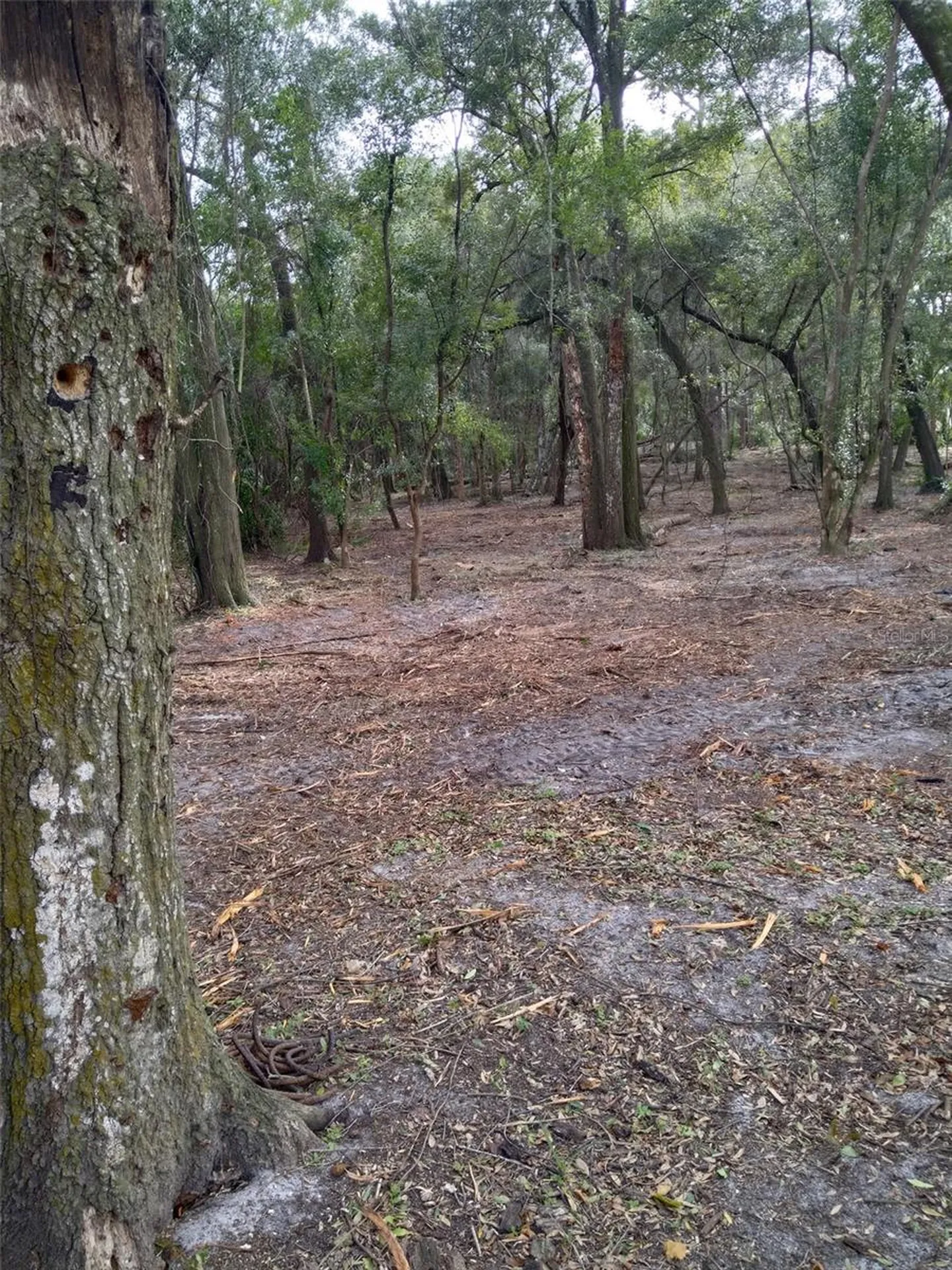 2ND Street Deland FL 32720