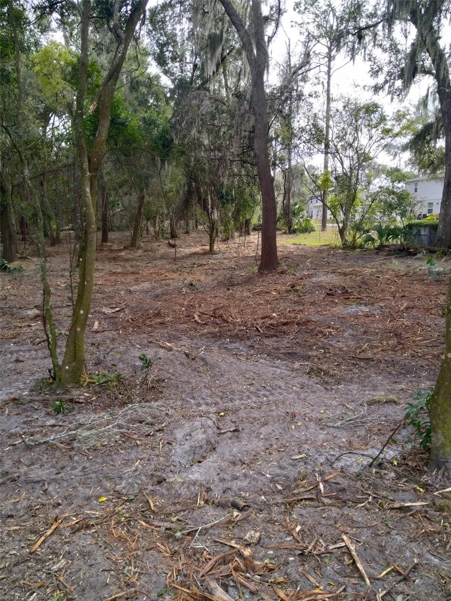 2ND Street Deland FL 32720