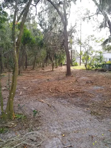 2ND Street Deland FL 32720