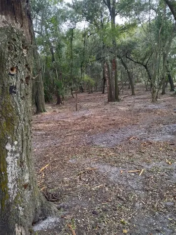 2ND Street Deland FL 32720