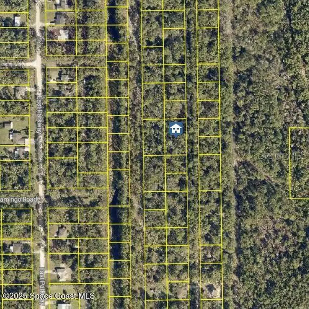 00 No Street Deland FL 32724