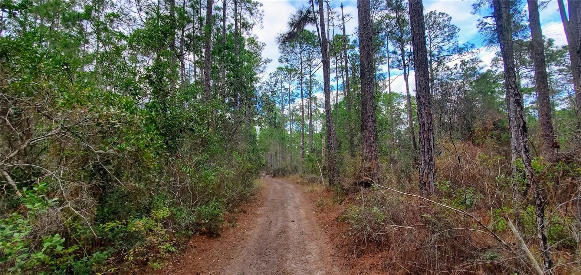 00 No Street Deland FL 32724