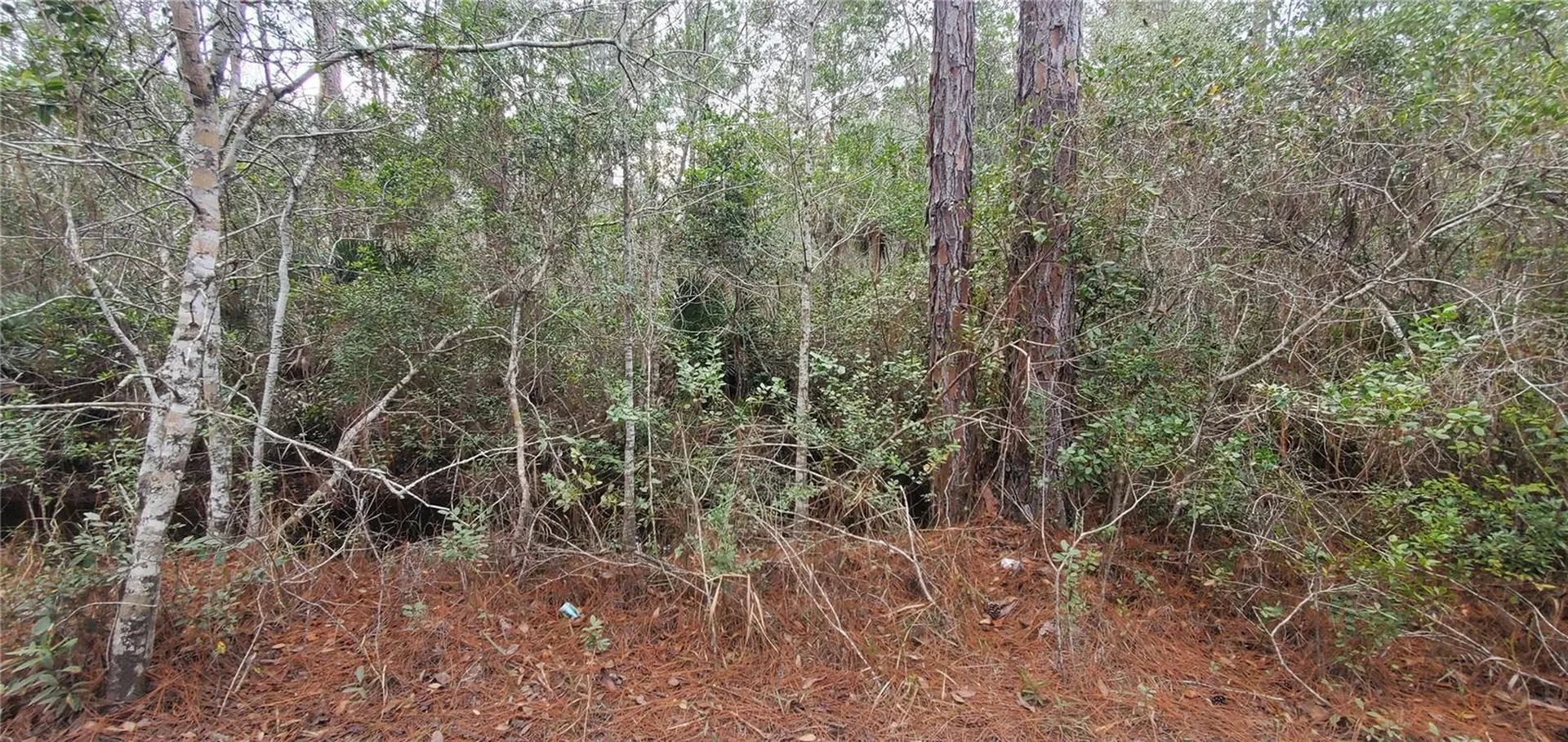 00 No Street Deland FL 32724