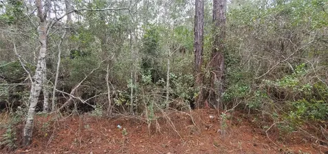 00 No Street Deland FL 32724