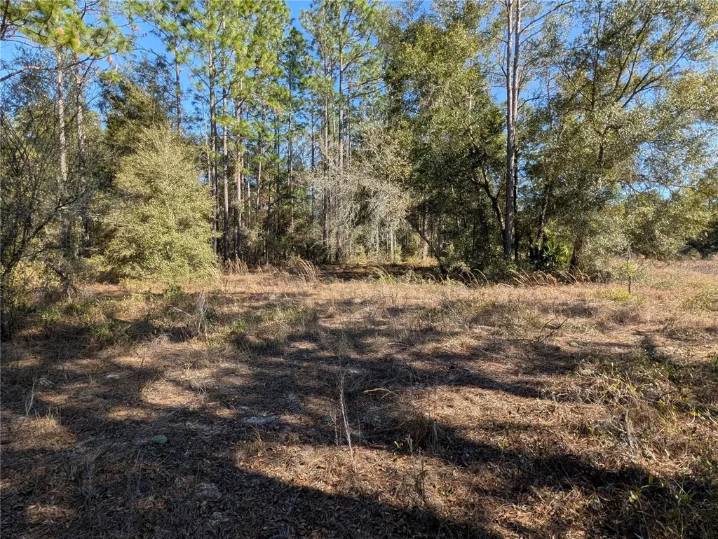 SW Soundview Drive Dunnellon FL 34431