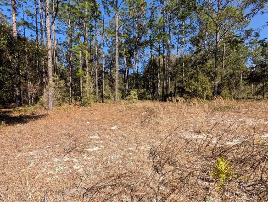 SW Soundview Drive Dunnellon FL 34431