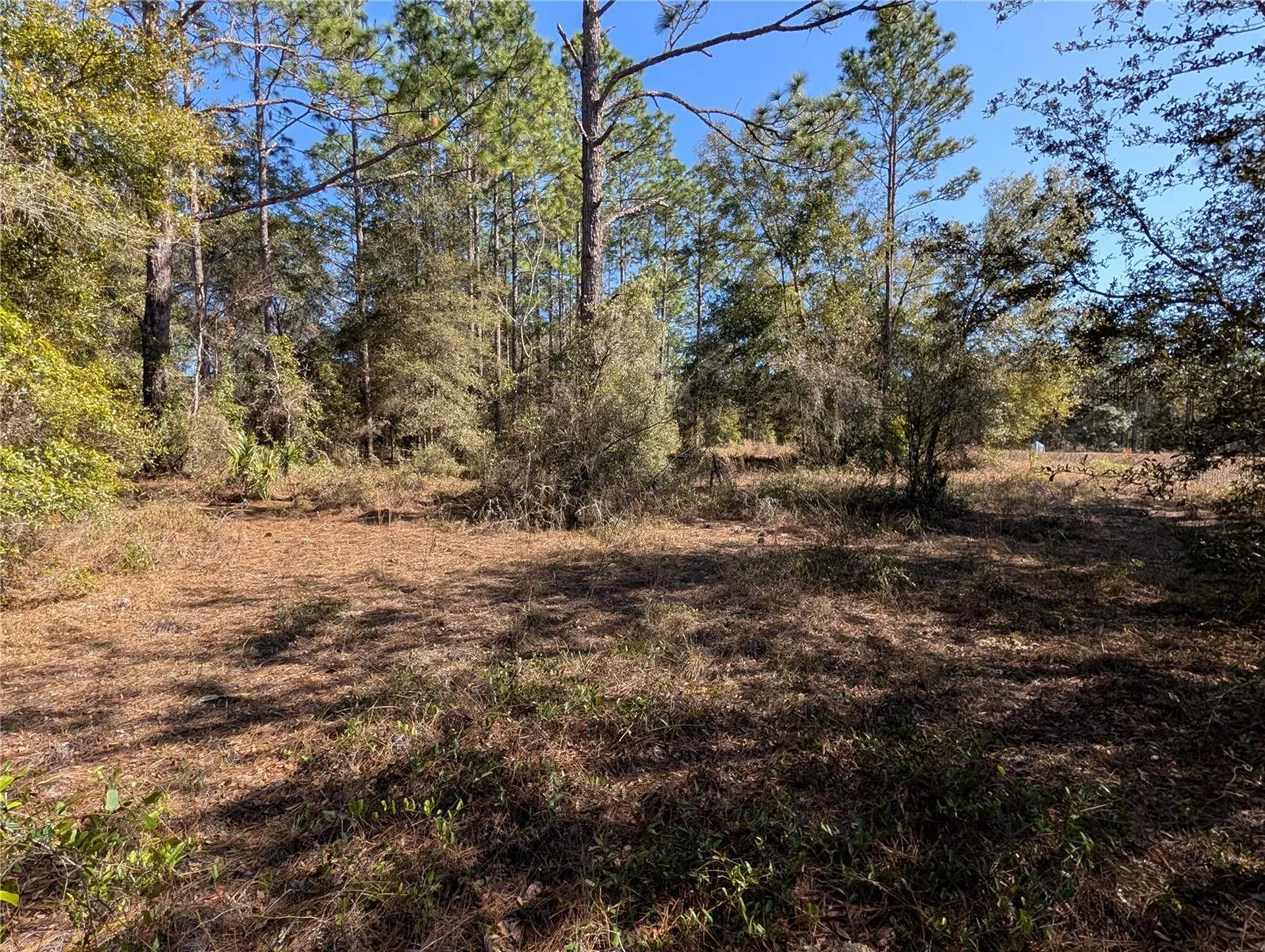 SW Soundview Drive Dunnellon FL 34431
