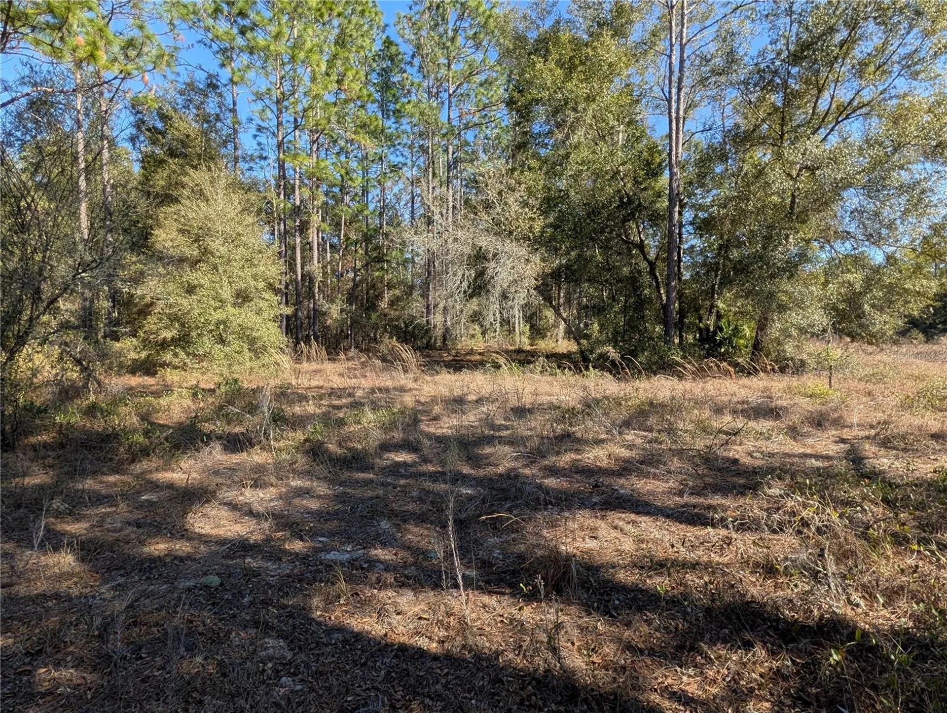 SW Soundview Drive Dunnellon FL 34431