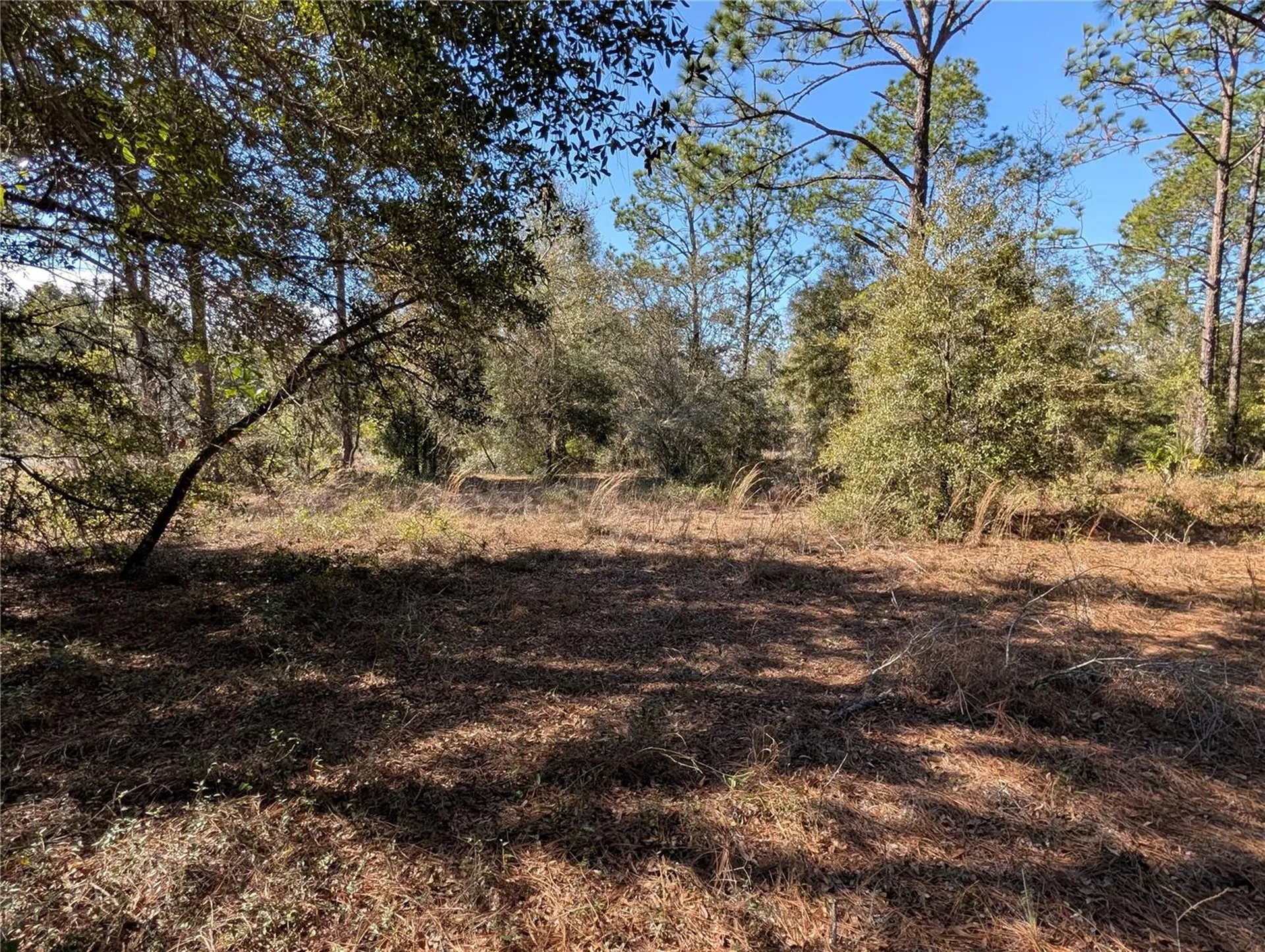 SW Soundview Drive Dunnellon FL 34431
