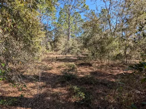 SW Soundview Drive Dunnellon FL 34431