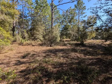 SW Soundview Drive Dunnellon FL 34431