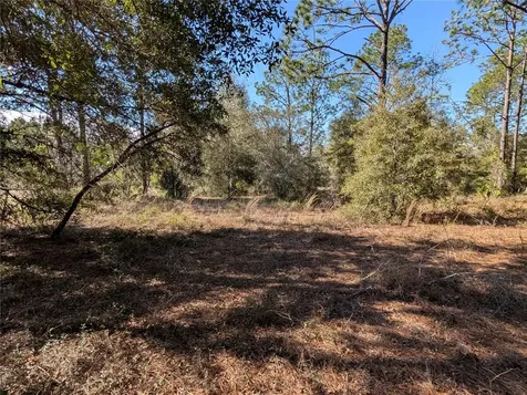 SW Soundview Drive Dunnellon FL 34431