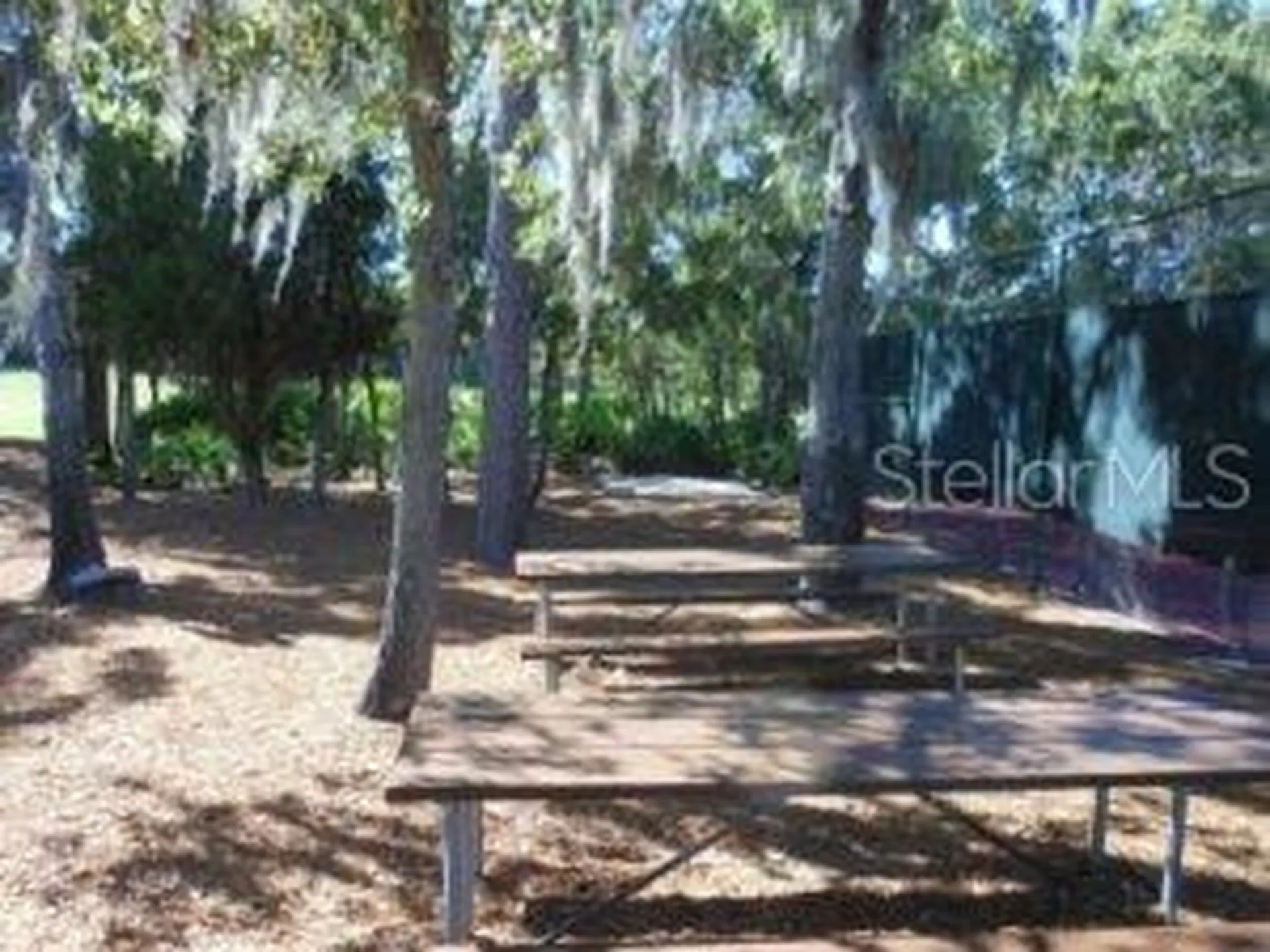 8805 Shoemaker Lane Hudson FL 34667