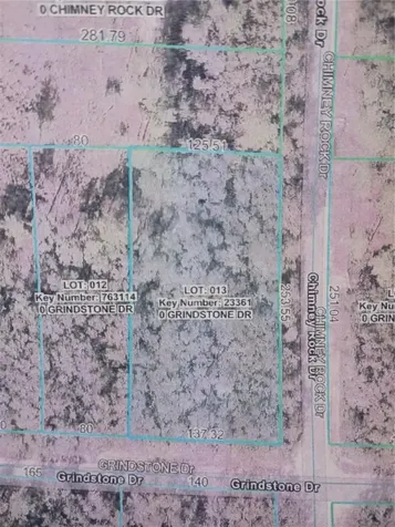 Grindstone Drive Webster FL 33597
