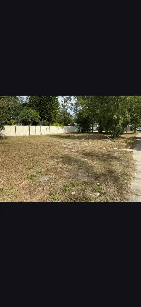 1014 E Sitka Street Tampa FL 33604