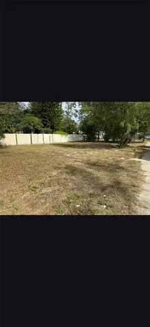1014 E Sitka Street Tampa FL 33604
