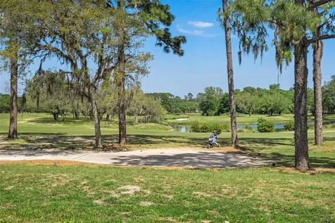 31 W Byrsonima Loop Homosassa FL 34446