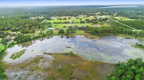 42554 Maggie Jones Road Paisley FL 32767