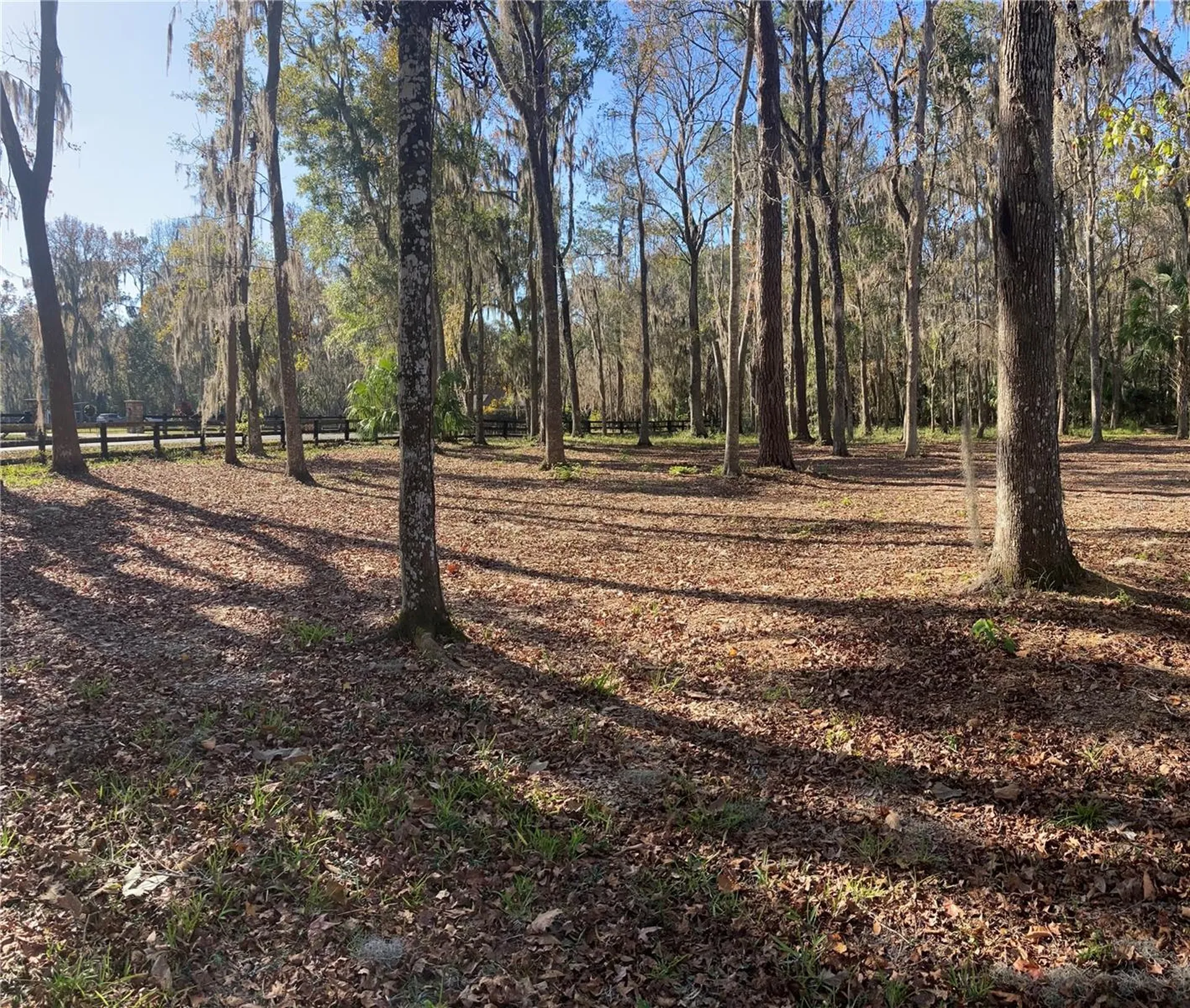 6800 SW 18th Terrace Road Ocala FL 34476