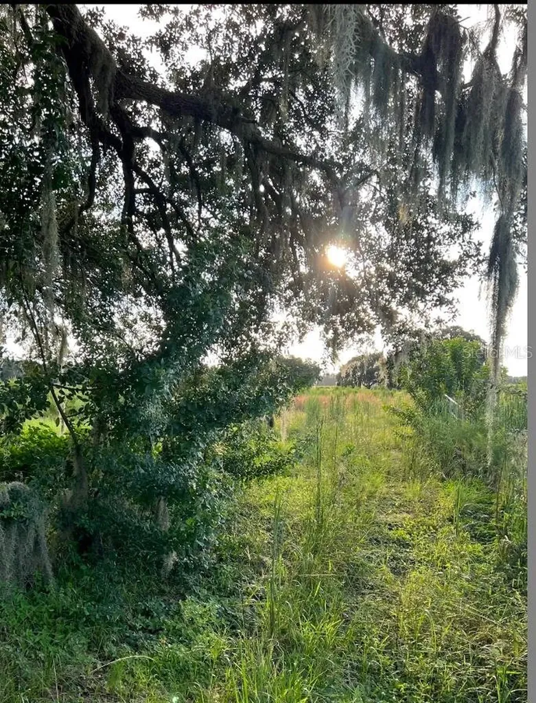13029 S County Road 39 Lithia FL 33547