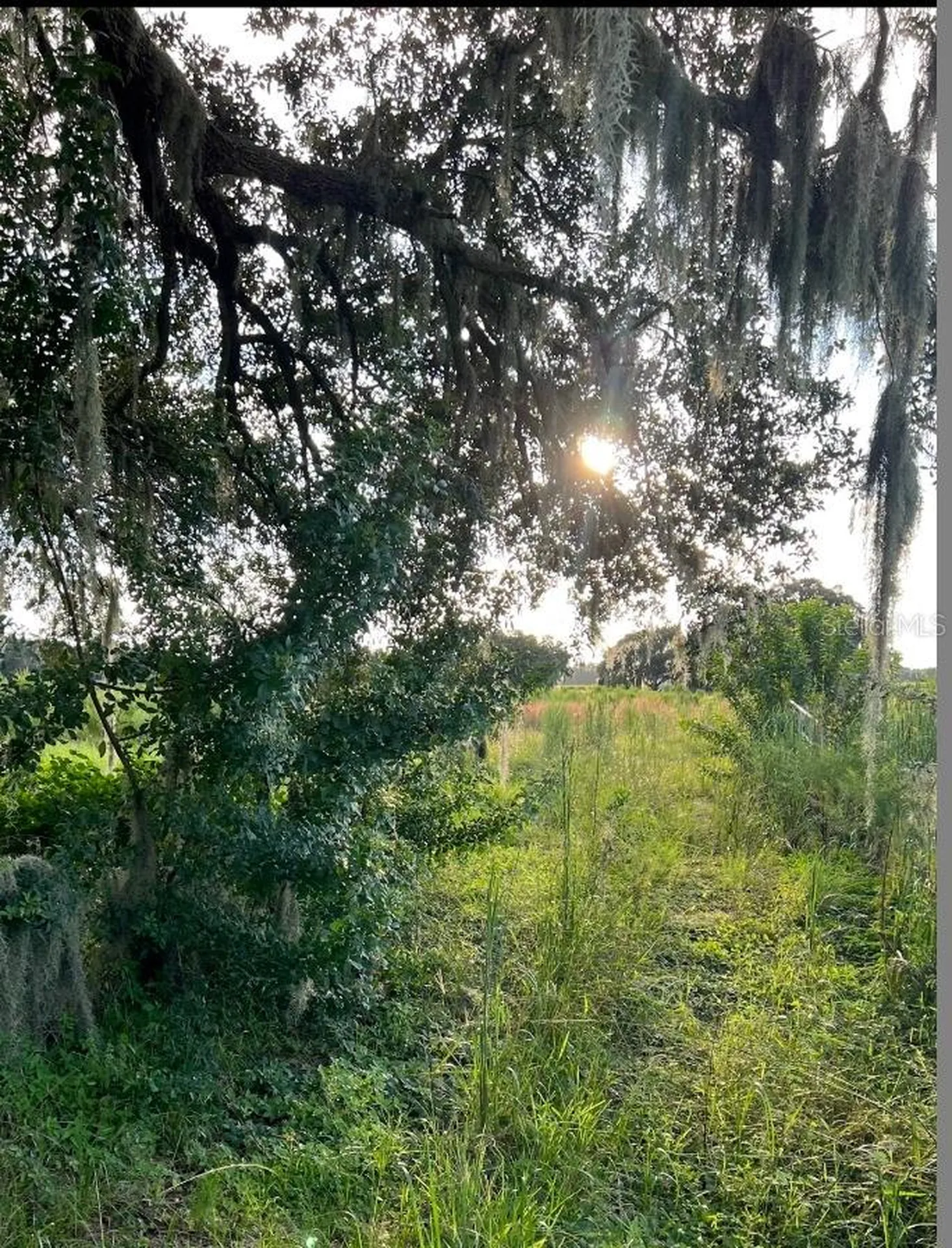 13029 S County Road 39 Lithia FL 33547