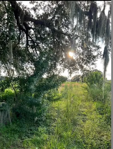 13029 S County Road 39 Lithia FL 33547