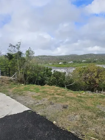 Bo. Carenero 39 Sec. San Jacinto Guanica PR 00653