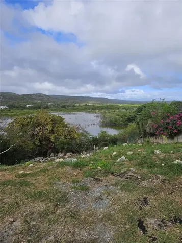 Bo. Carenero 39 Sec. San Jacinto Guanica PR 00653
