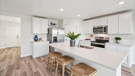 8652 Barragan Drive Wildwood FL 34785