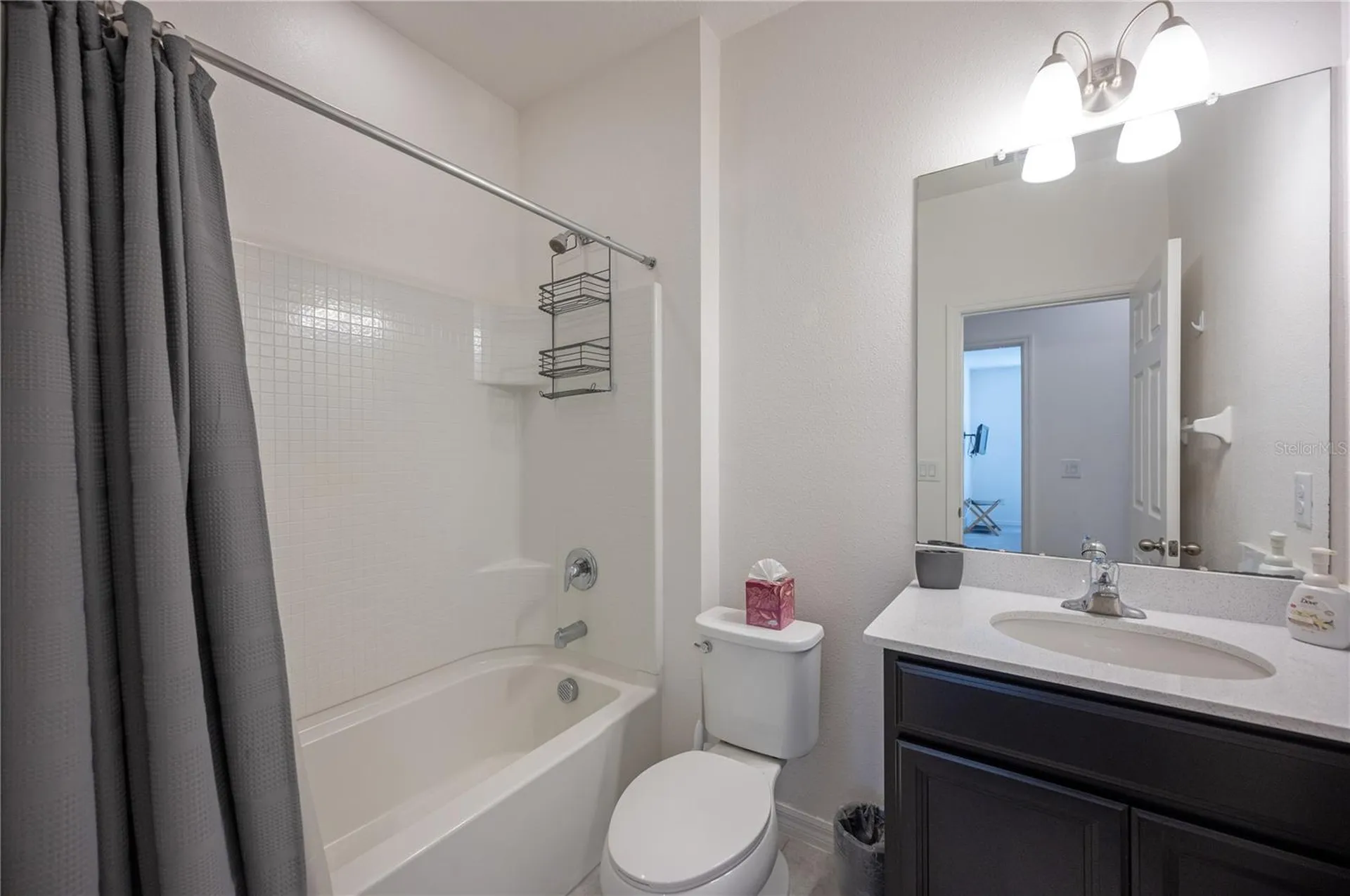 6256 Camino Drive Apollo Beach FL 33572