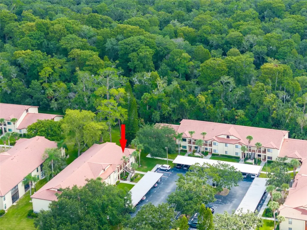 1801 E Lake Road Palm Harbor FL 34685