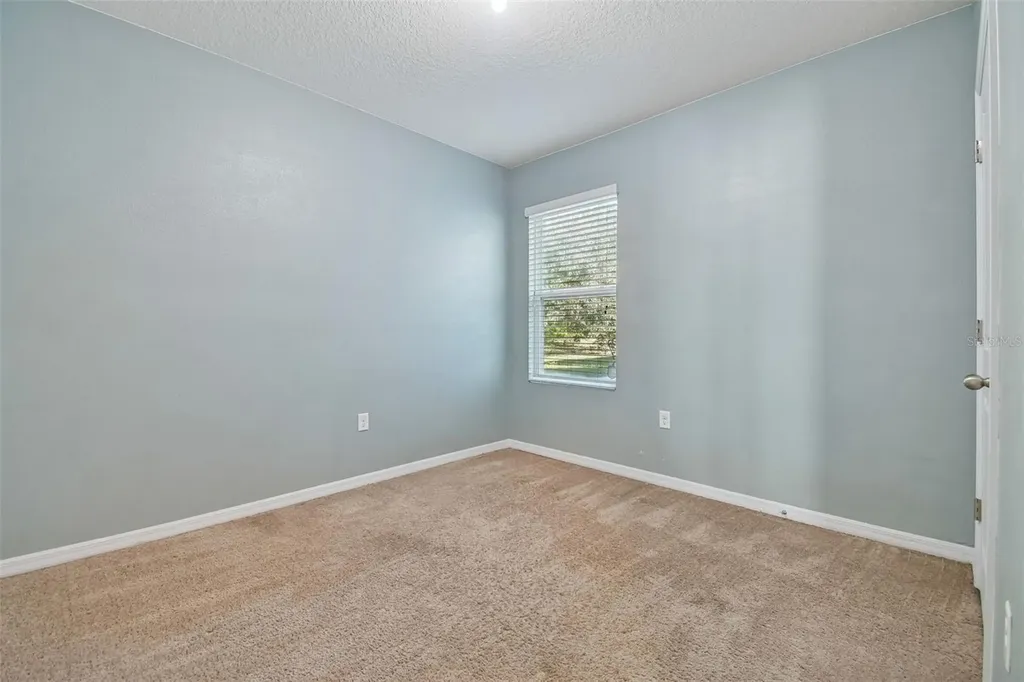 10104 Hawk Storm Avenue Tampa FL 33610