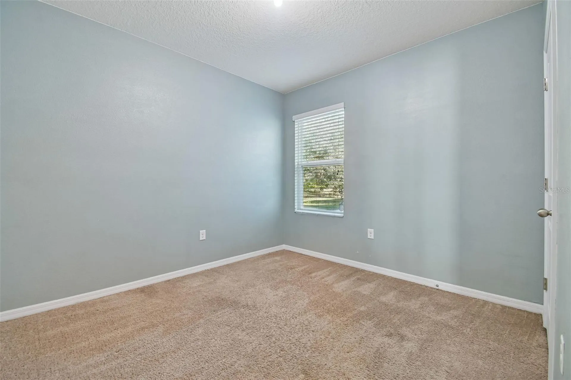 10104 Hawk Storm Avenue Tampa FL 33610