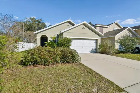 10104 Hawk Storm Avenue Tampa FL 33610